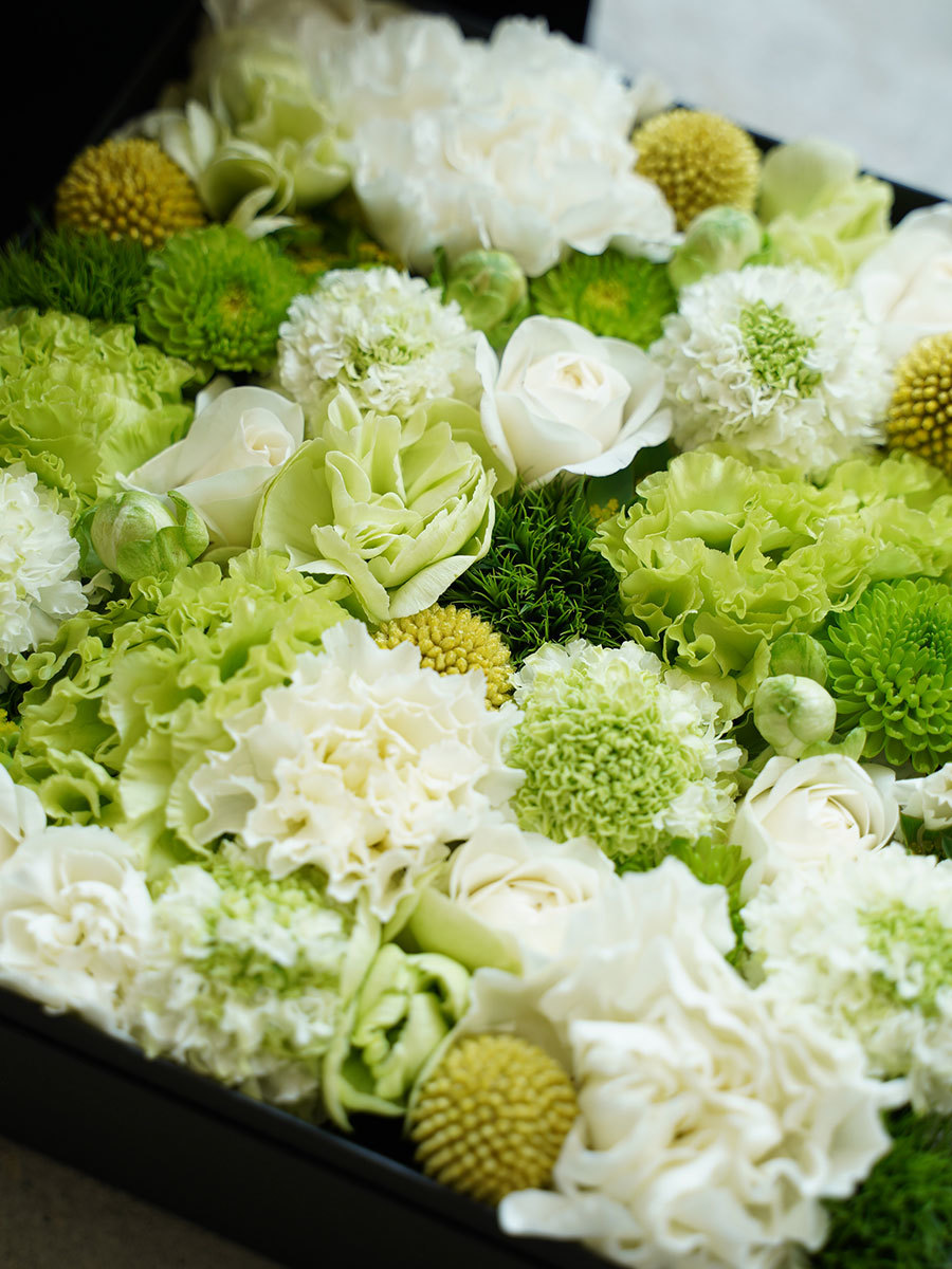 生花のボックスフラワー 白 L｜おしゃれな祝い花通販Sakaseru