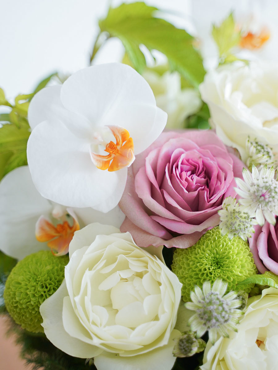 胡蝶蘭とバラを合わせたナチュラルアレンジ M｜おしゃれな祝い花通販