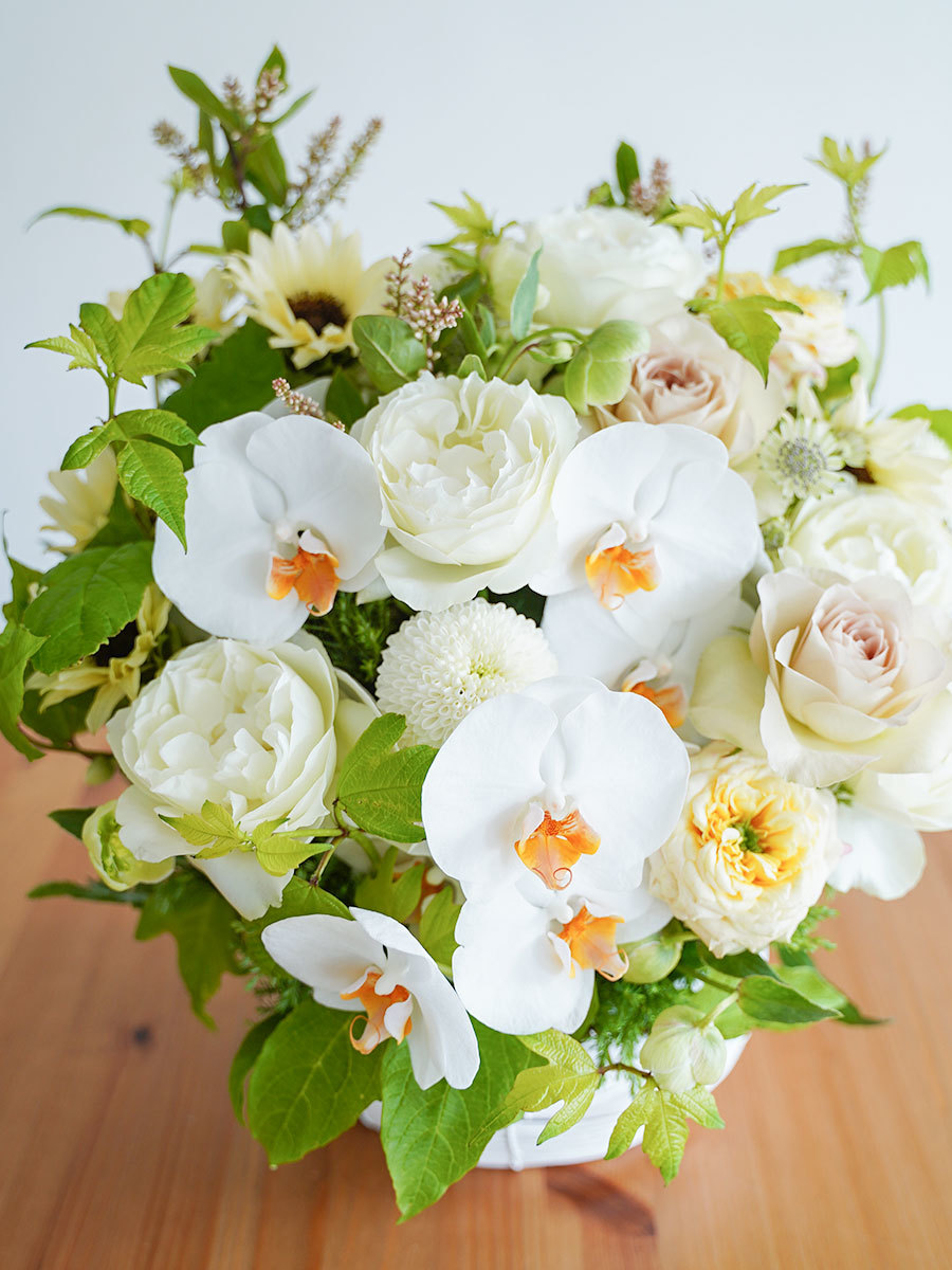 胡蝶蘭とバラを合わせたナチュラルアレンジ L｜おしゃれな祝い花