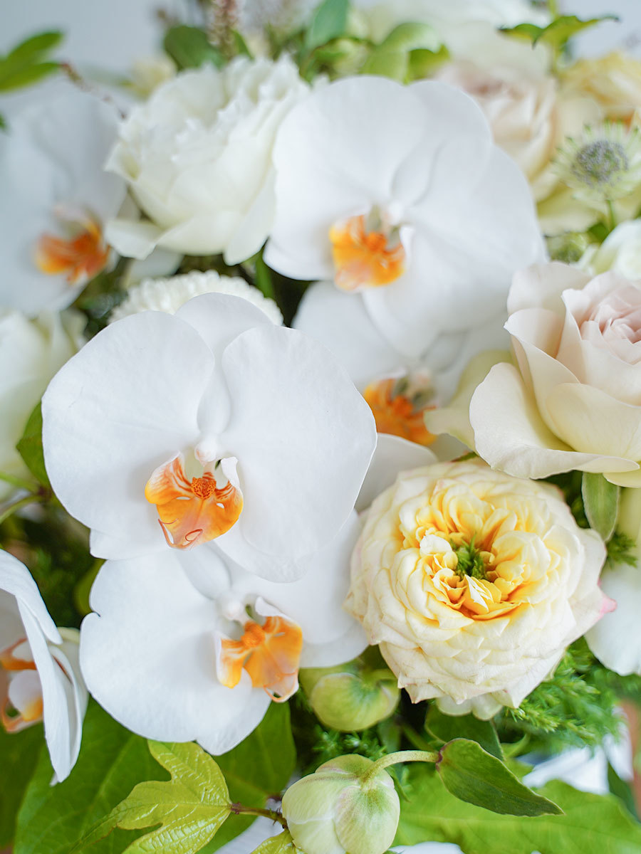 胡蝶蘭とバラを合わせたナチュラルアレンジ L｜おしゃれな祝い花通販