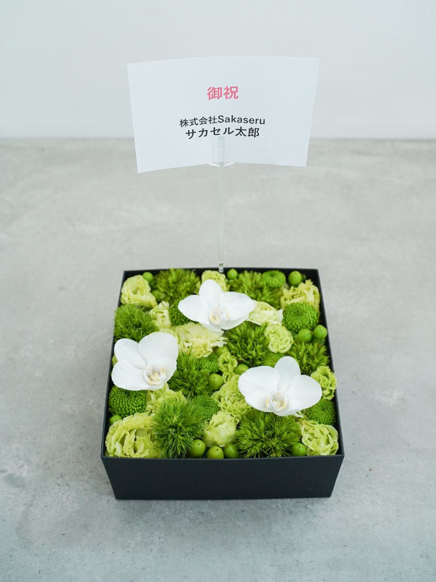 胡蝶蘭メインの生花のボックスフラワー L｜おしゃれな祝い花通販Sakaseru