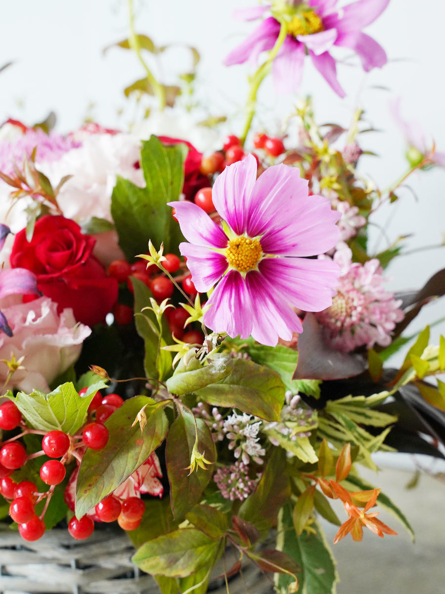 秋限定 コスモスいっぱいの生花アレンジ おしゃれな祝い花通販ならsakaseru