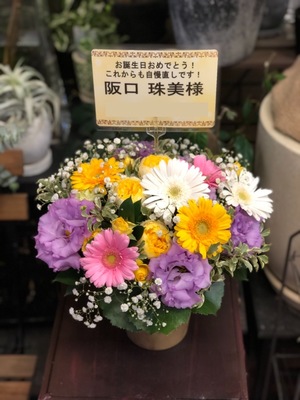 幕張メッセ 公演 [乃木坂46 24th 夜明けまで強がらなくてもいい  個別握手会] 阪口珠美さん ご出演祝い花・楽屋花