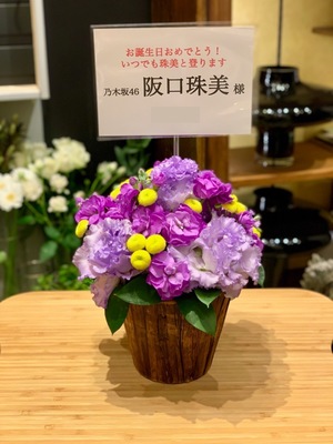 幕張メッセ [乃木坂46] 握手会 阪口珠美様ご出演祝い花