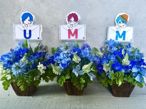 246ライブハウスGABU ご公演 [​UMM.com 祝3rdLIVE] 御出演に伴う祝い花