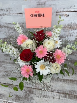 パシフィコ横浜 公演 [乃木坂46 23rdシングル個別握手会] 乃木坂46　佐藤楓様 ご出演祝い花