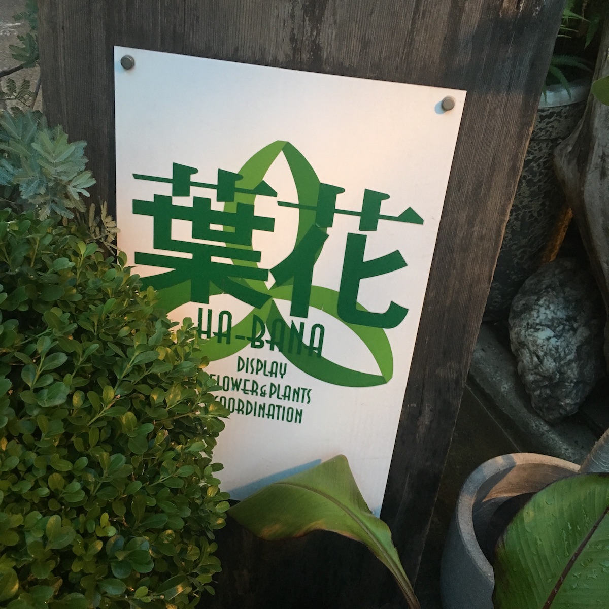 Sakaseruフラワーデザイナー葉花